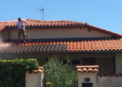 toiture-pro-clean meilleur nettoyage toiture
