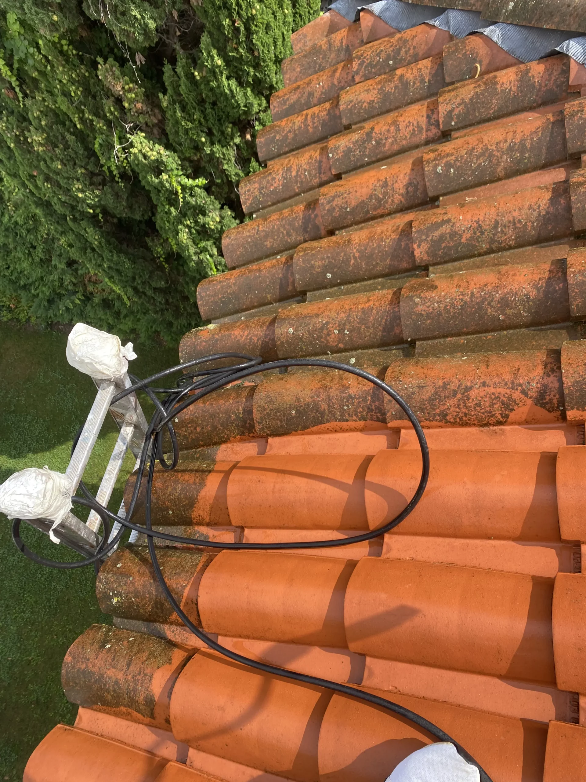 toiture-pro-clean nettoyage façade et toit