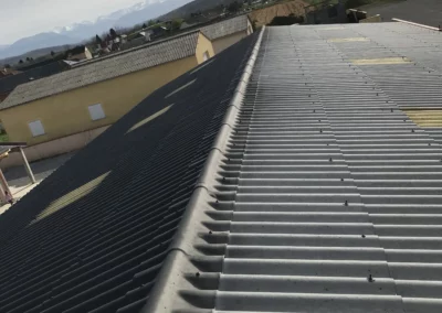 toiture-pro-clean toiture de bias
